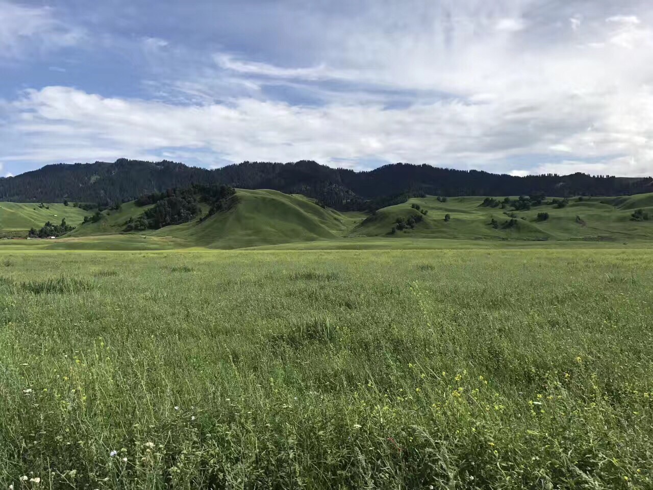 {線上賭場}(那拉提旅游攻略 自驾)